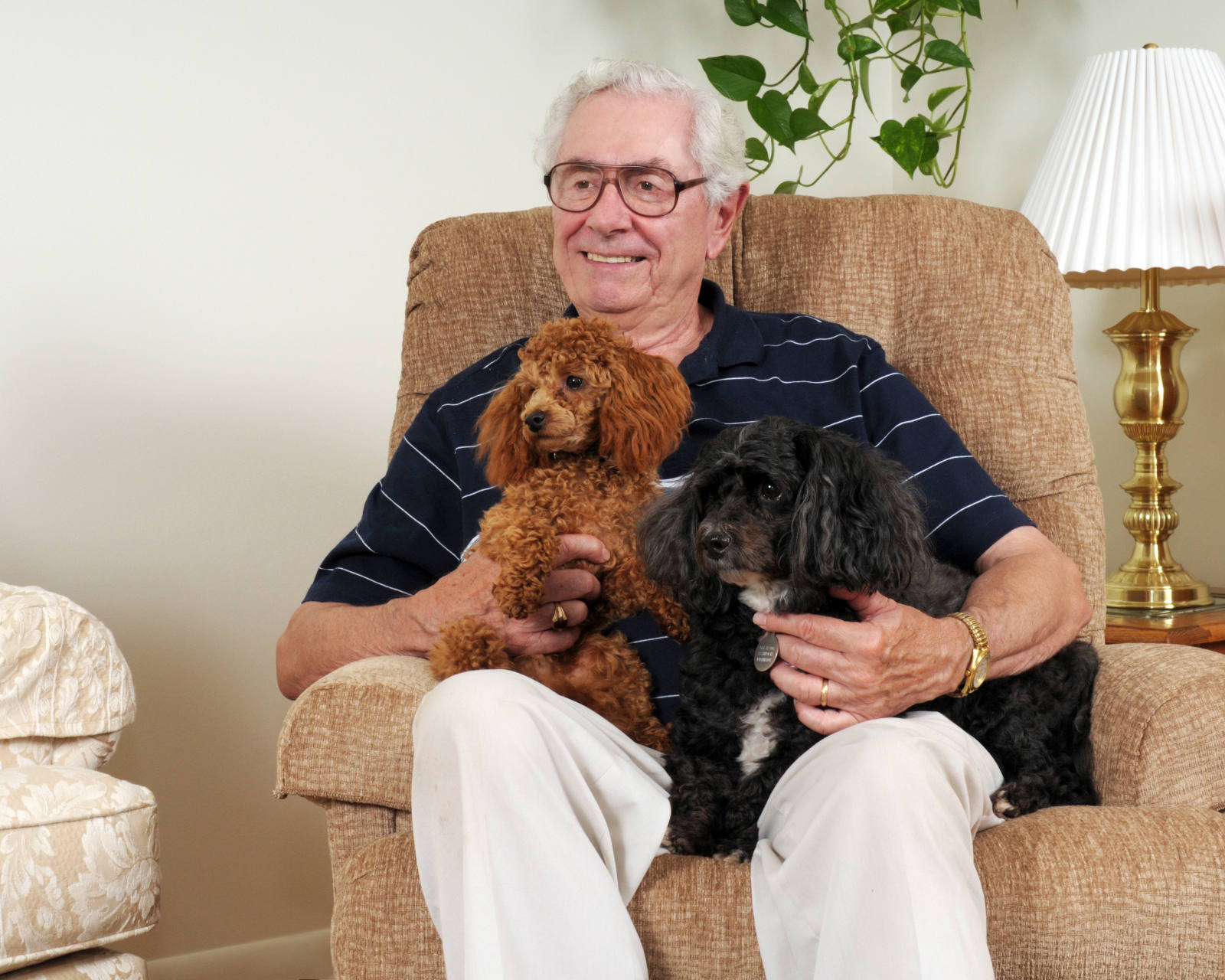 elderly man with dog in chair