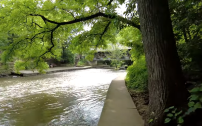 Home Care in Naperville, IL Provides Local Seniors a Beacon of Independence