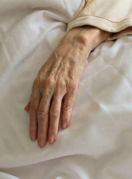 Vertical Elderly Female Arm and Hand Elderly Female Arm and Hand